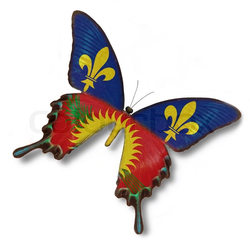 Guadeloupe flag on butterfly Stock image Colourbox