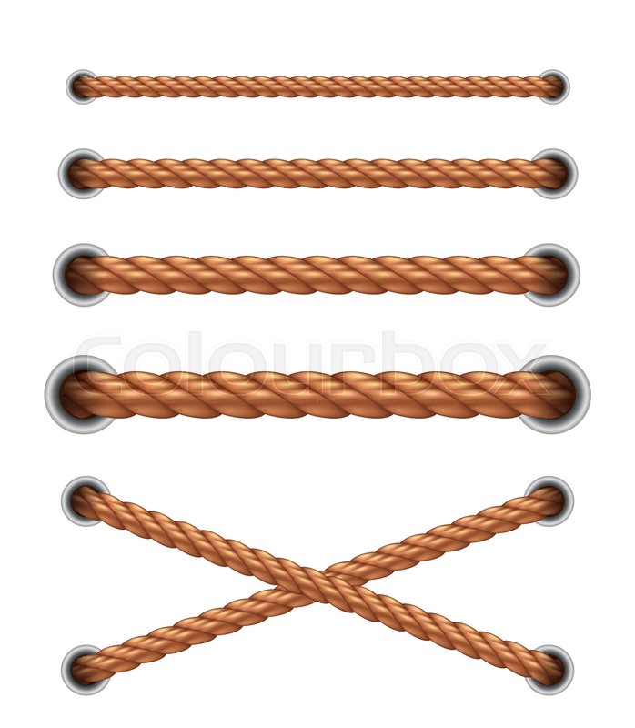 Collection of various ropes string on Stock vector Colourbox