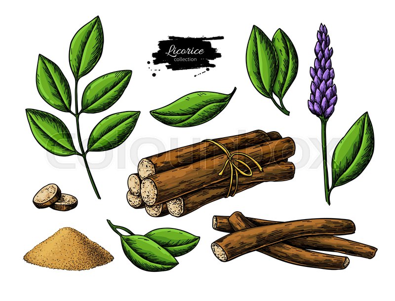 Licorice vector drawing. Bunch of Stock vector Colourbox