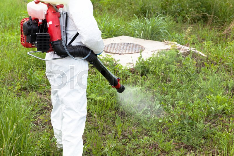 Man spraying insects outdoors. Pest ... | Stock image | Colourbox