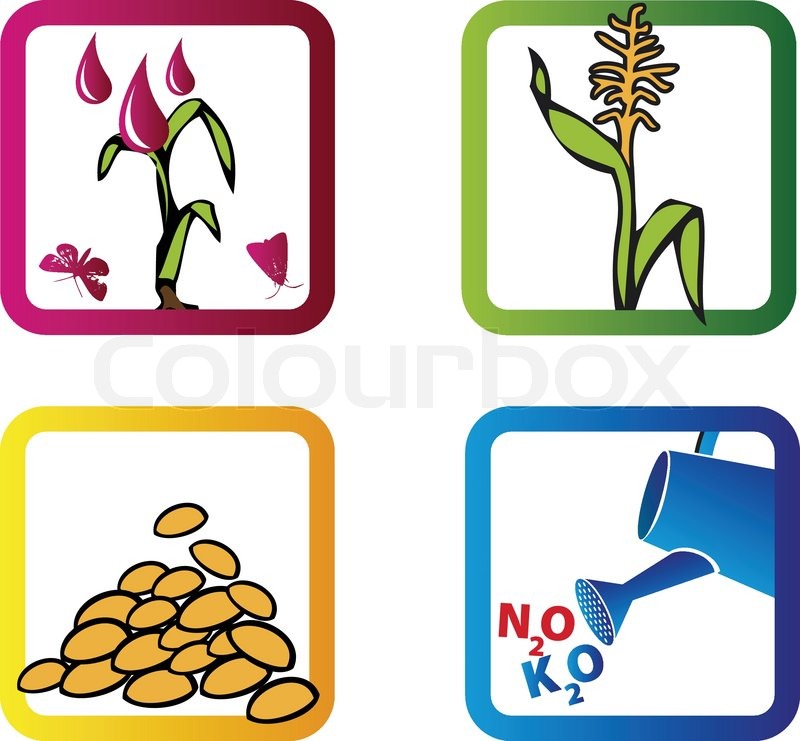Agricultural Symbols Stock Vector Colourbox