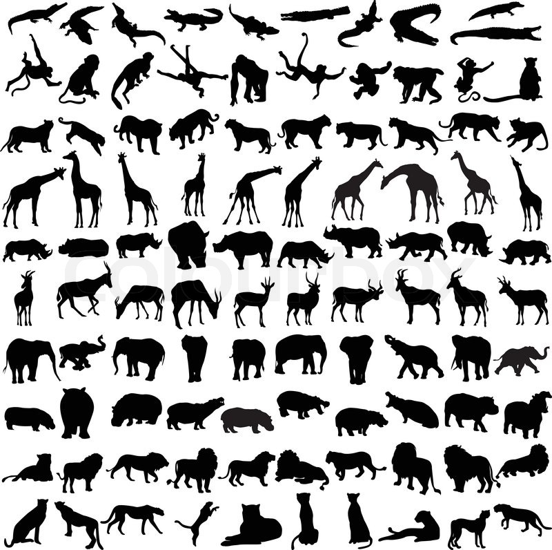 Hundred silhouettes of wild animals from Africa | Stock Vector | Colourbox