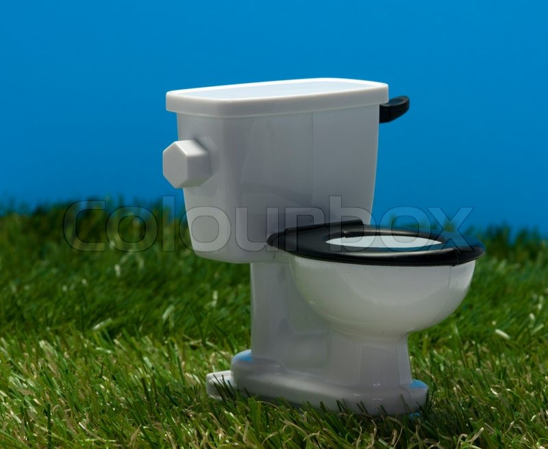 toilet on the ground