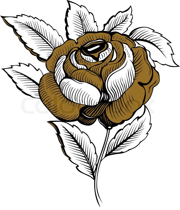 Rose Blume | Stock-Vektor | Colourbox