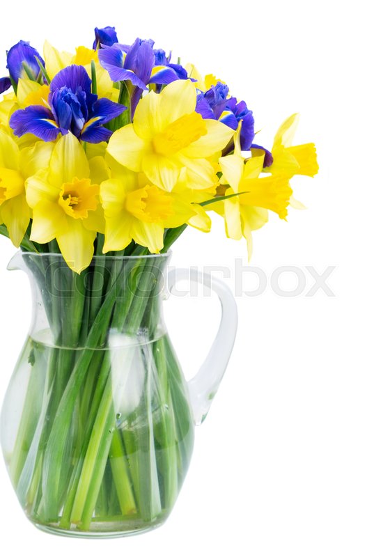 Bouquet of daffodil and iris flowers in Stock image Colourbox