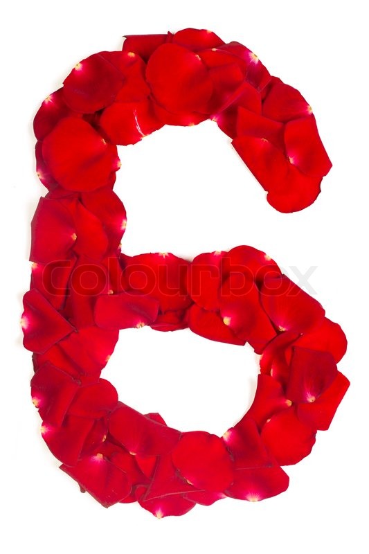 number 6 made from