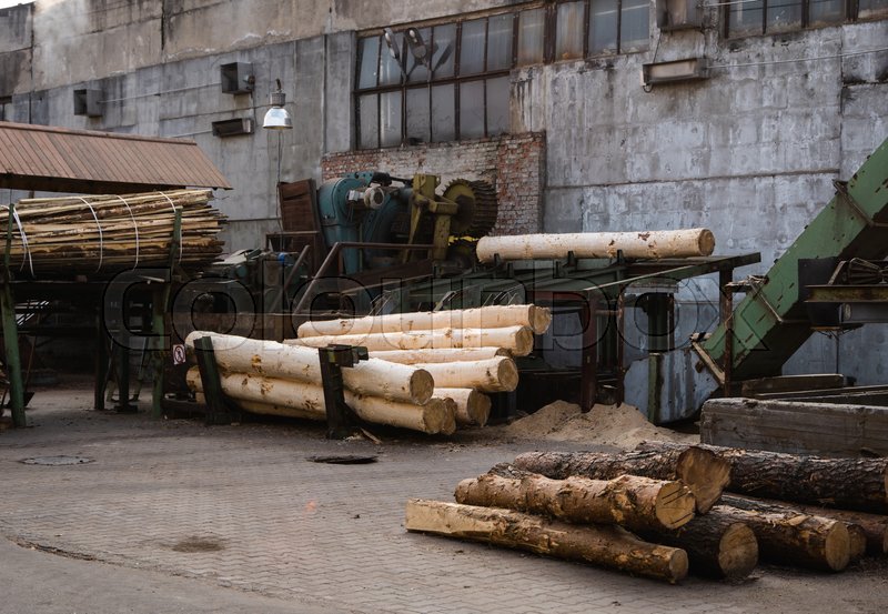 Bark removal from large logs on sawmill 