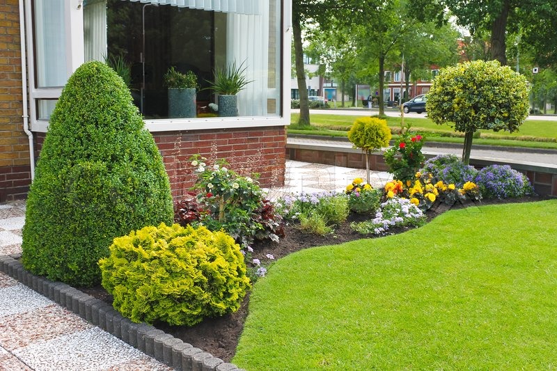 Small garden in front of the Dutch house Netherlands | Stock image ...