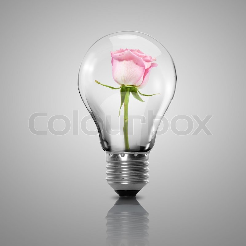 electric light bulb and