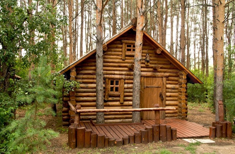  Wooden  house  in the woods  Stock image Colourbox