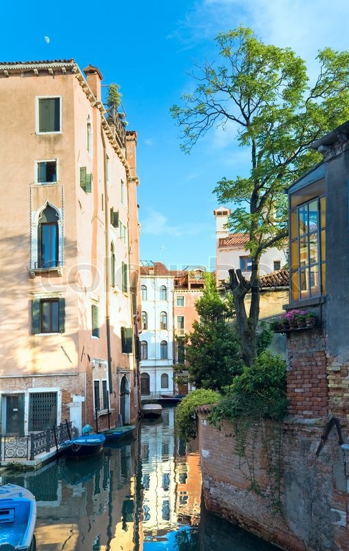 Venice view with tree Stock image Colourbox