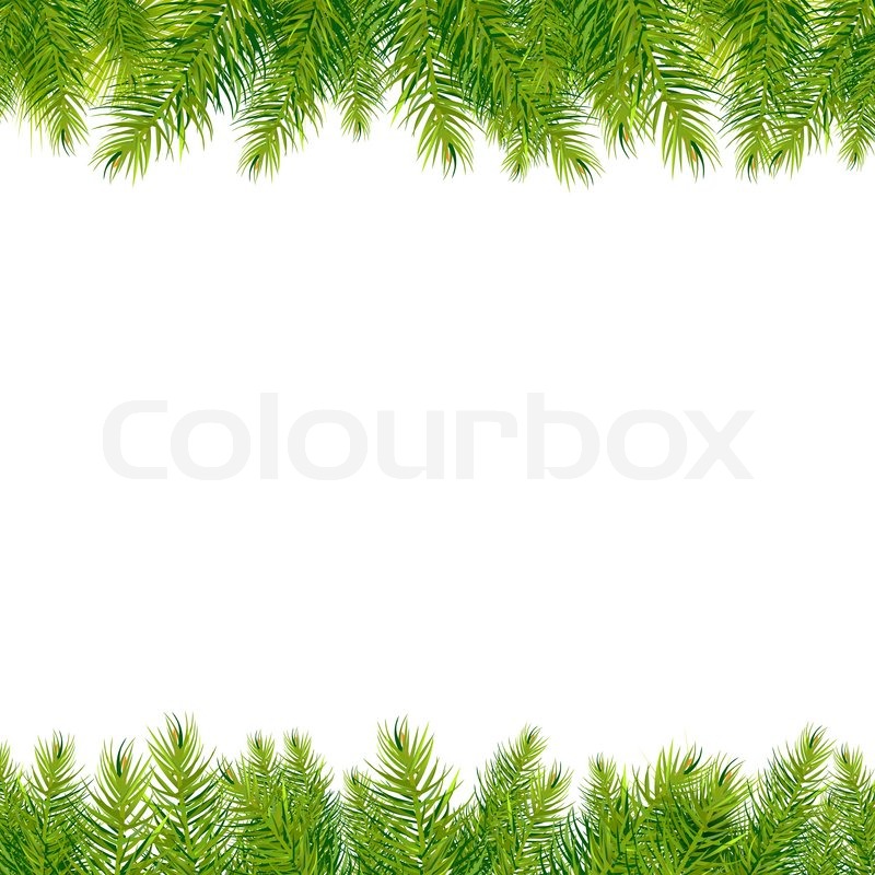 christmas tree borders stock photo colourbox christmas trees fir