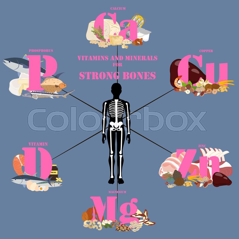 Vitamins and minerals for strong bones Stock vector Colourbox