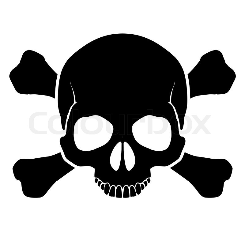 grunge vector skull Stock   Colourbox  Skull Vector and  crossbones