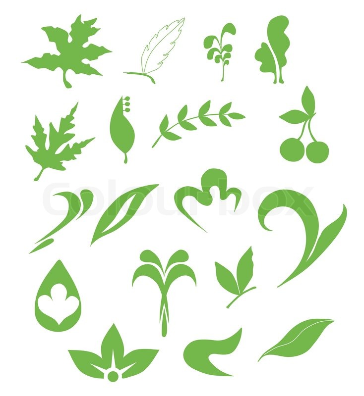 Leaves | Stock vector | Colourbox