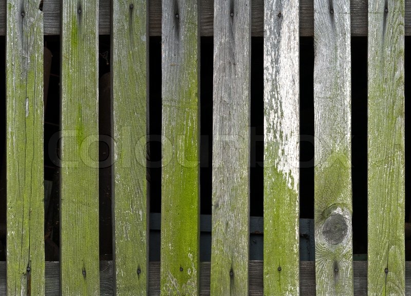 Hintergrundstruktur des alten grünen | Stock Bild | Colourbox