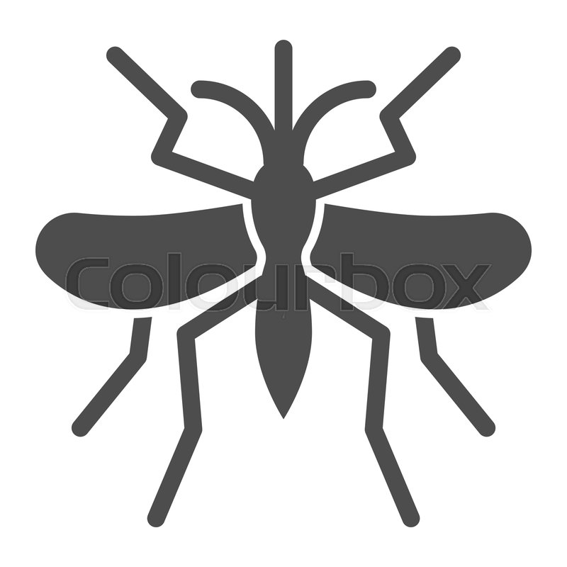 Gnat Vector Gnat Clipart