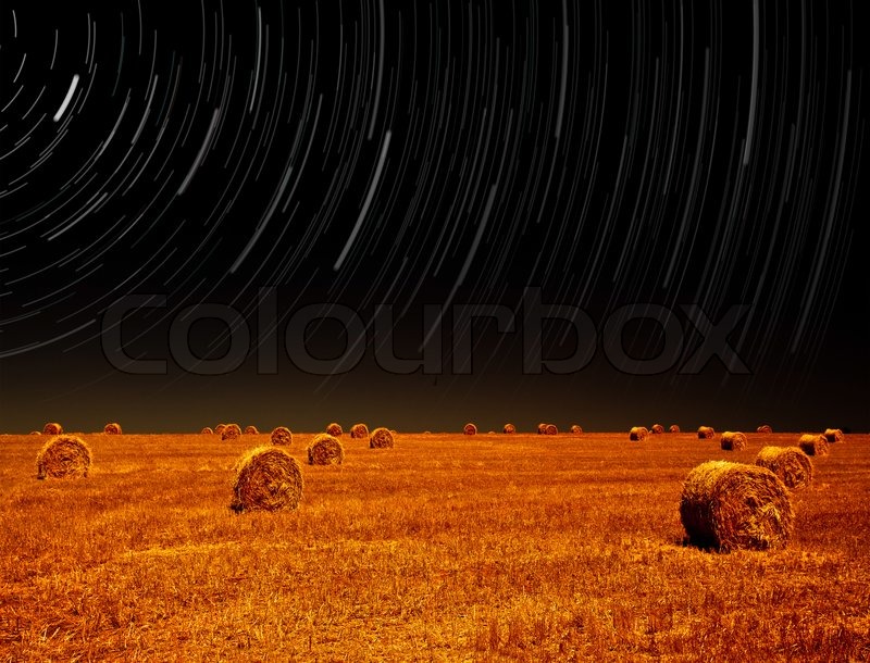 Night landscape of farm field | Stock image | Colourbox