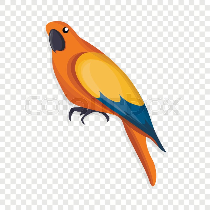 Orange parrot icon. Cartoon of orange Stock vector Colourbox