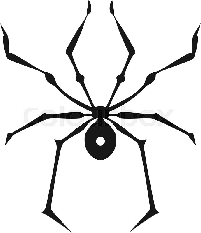 Simple Spider Vector