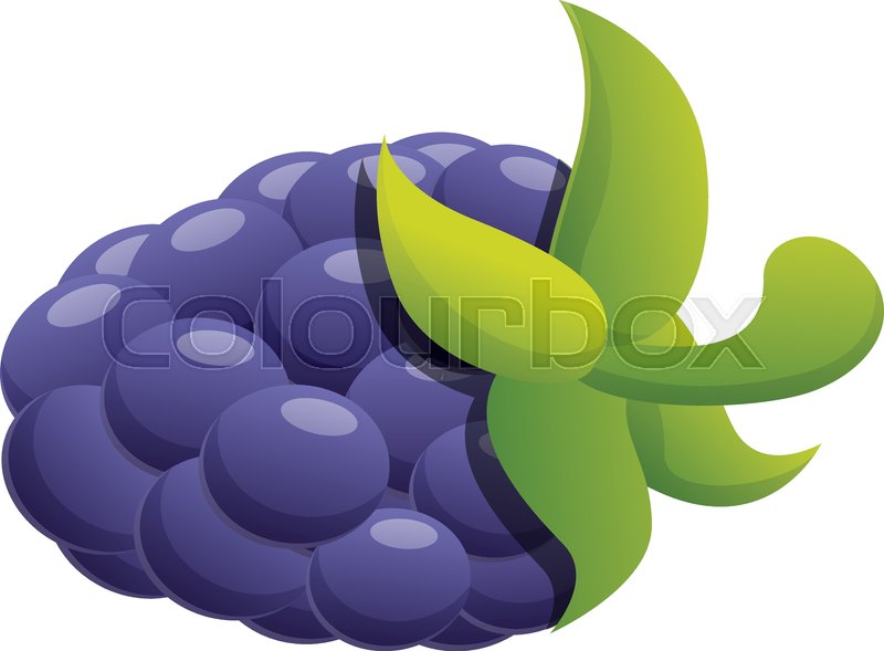 Fruit blackberry icon. Cartoon of Stock vector Colourbox