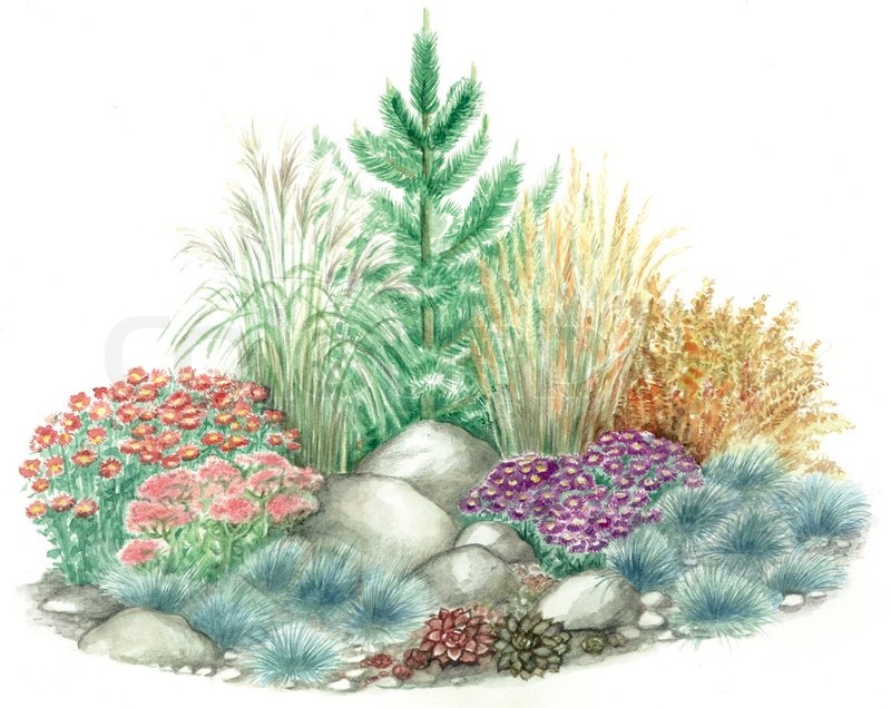 Garden Design Rockery watercolors hand painted picture of garden design of rockery Garden Design Rockery watercolors hand painted picture of garden design of rockery