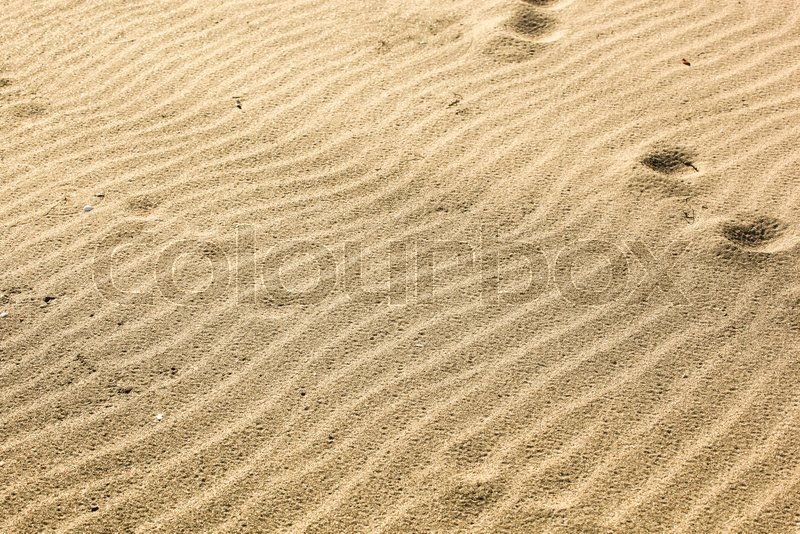 Close-Up Of Sand Background Texture | Stock image | Colourbox