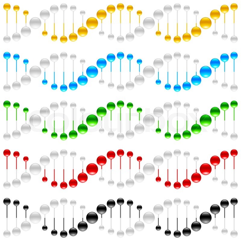 dna molecule schematic vector illustration stock vector colourbox