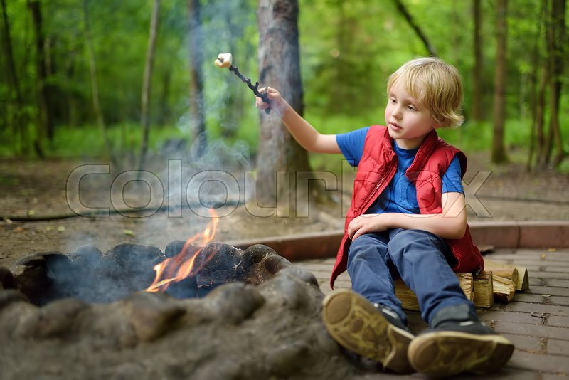 Little boy during family hiking roasting marshmallow candy on wooden stick  at bonfire. Child having fun at camp fire. | Stock image | Colourbox