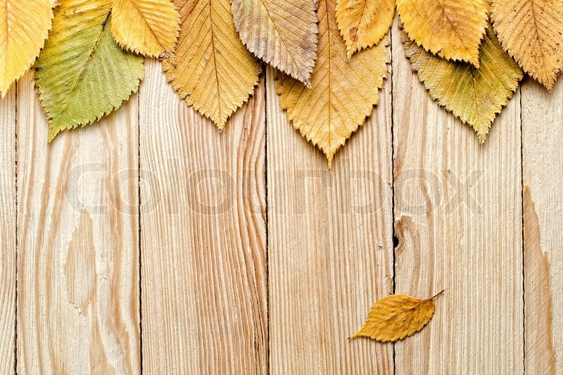 border background
