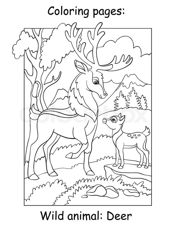 Vector coloring pages with deer dad | Stock vector | Colourbox