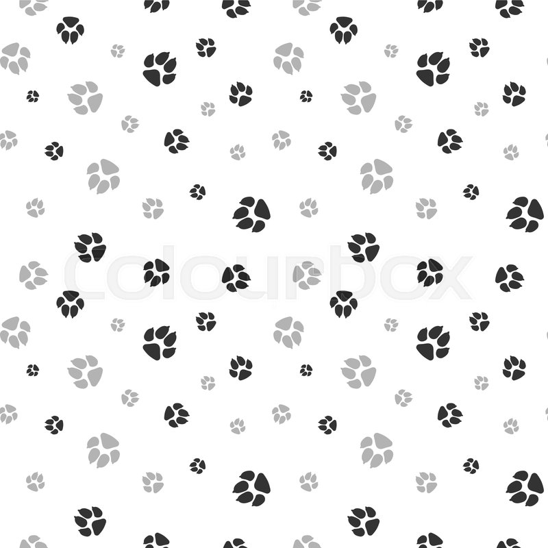 Cat and dog footprints seamless Stock vector Colourbox