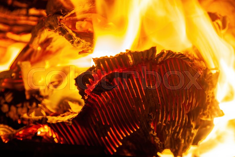 Burning cardboard and firewood in the fireplace | Stock image | Colourbox