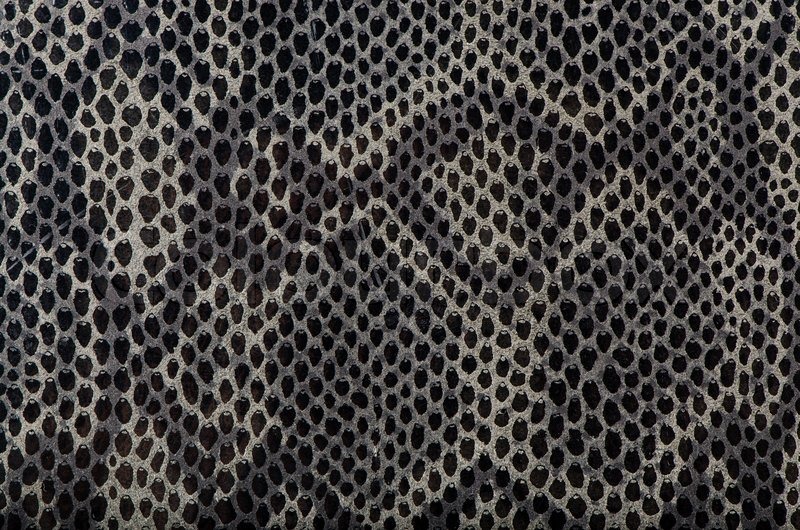 Snake skin background Stock Photo Colourbox