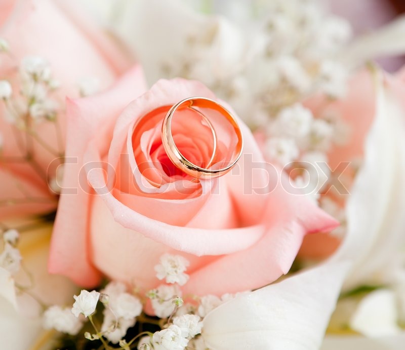 Gold wedding  rings  on flower  Stock Photo Colourbox