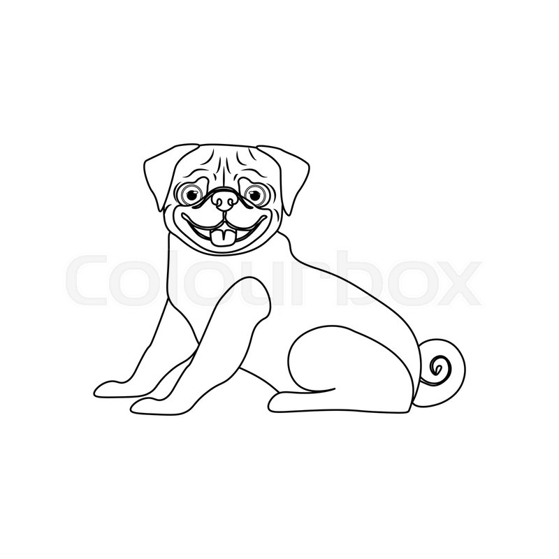 Pug dog outline vector illustration on Stock vector Colourbox