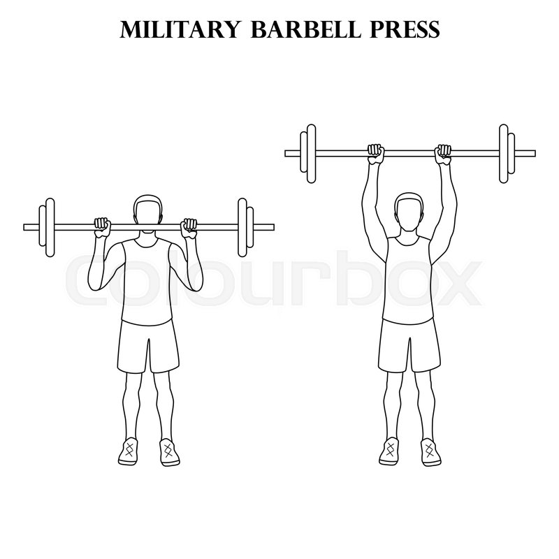 Military barbell press exercise Stock vector Colourbox