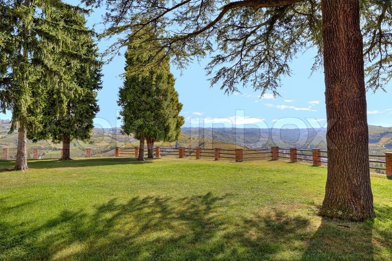 Bäume auf grünen Rasen und Hügel auf | Stock Bild | Colourbox