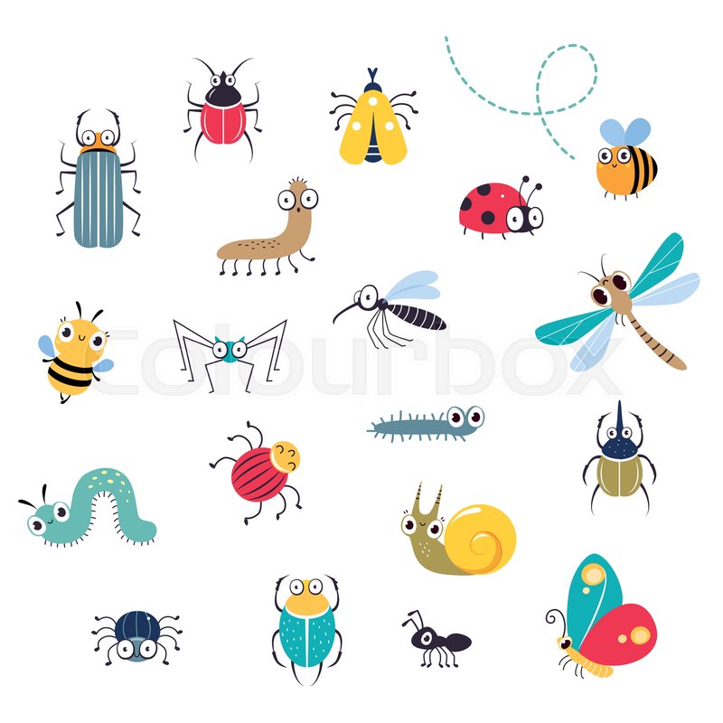 Cute Cartoon Insects