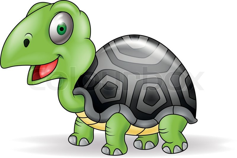 Vector illustration of Turtle cartoon | Stock vector | Colourbox