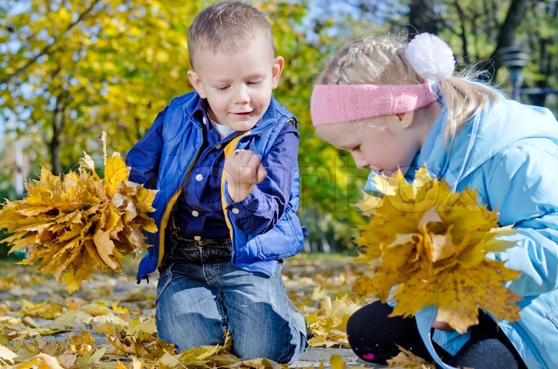 Children collecting fall leaves Stock Photo Colourbox