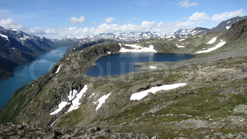 Kochání Stock Bild Colourbox