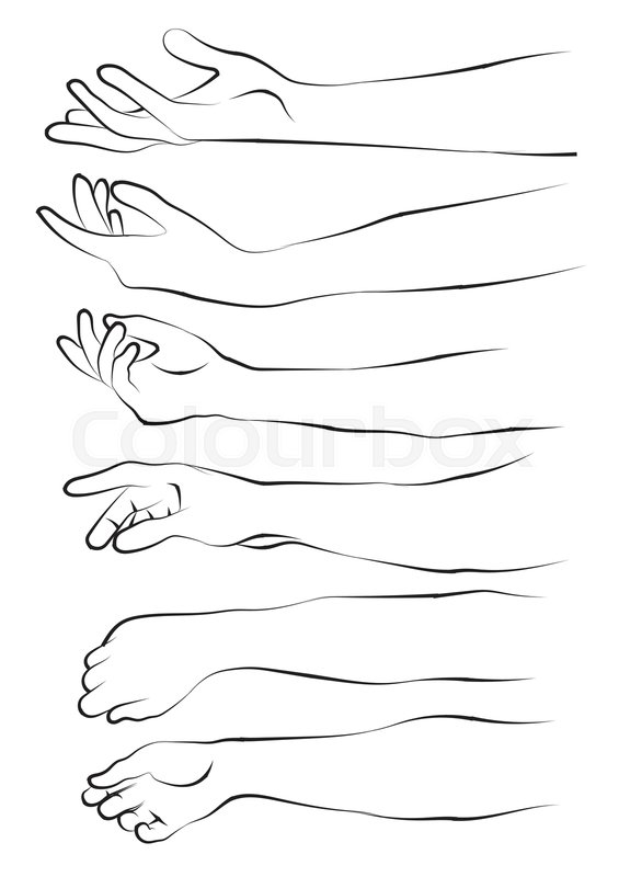 Female Hand And Arm Drawings