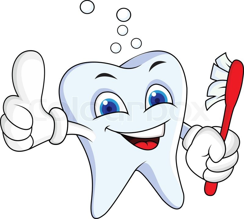 tooth with thumb up stock vector colourbox