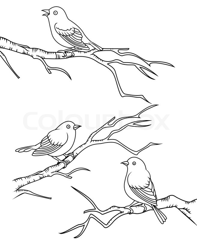 Bird sitting on a branch | Stock Vector | Colourbox