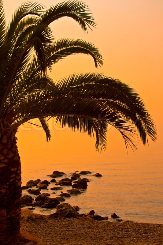 beautiful beach landscape photography
