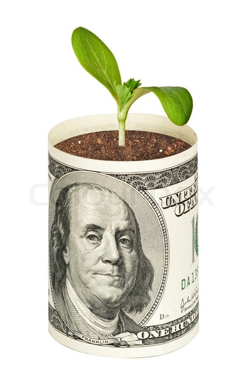 Plants growing from dollar bill Stock image Colourbox