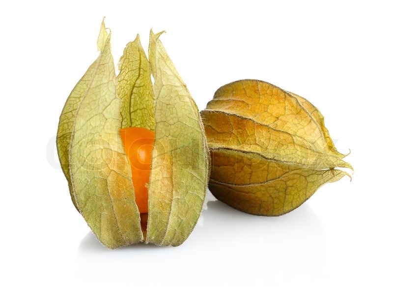 Physalis fruit isolated on white Stock Bild Colourbox