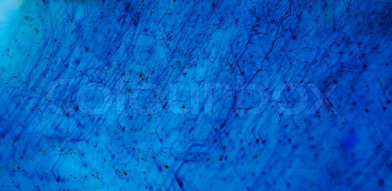 Blue Abstract Light Background Textured Paper Stock Photo