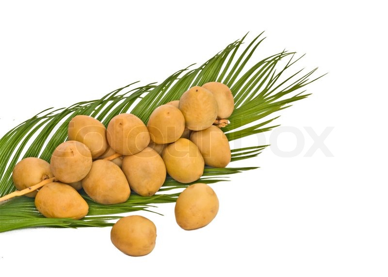 eskorte østfold dates fruit eskorte østfold dates fruit